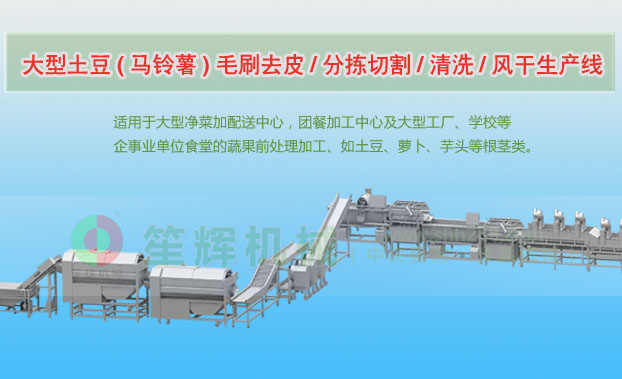 秦淮连续式土豆去皮清洗切割风干生产线